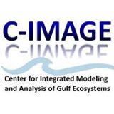 C-IMAGE-Logo