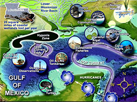 An Integrated Ecosystem Assessment incorporates human, biotic, and physical interactions of an ecosystem that result from human and natural system disturbance. Image Credit: DISL