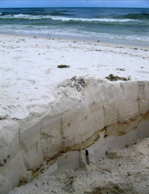 Oil layer uncovered on Pensacola Beach, FL
