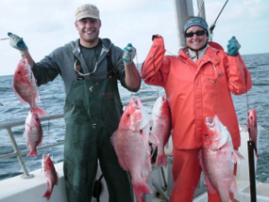 Researchers conduct longline surveys, sampling red snapper and other fish, to monitor oil spill impacts.