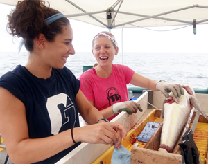 Susan Synder and Liz Herdter collect samples from a golden tilefish to measure PAH levels. (Photo credit: Steve Murawski)