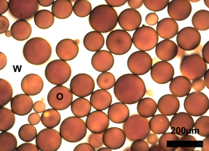 A brightfield optical micrograph shows an emulsion of crude oil (O) in seawater (W) stabilized by carbon black particles. (Provided by Saha)