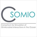 CSMIO logo