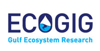 ECOGIG LOGO