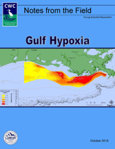 Gulf Hypoxia (October 2018)