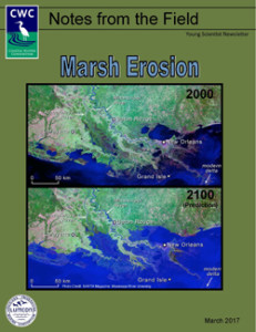 Marsh Erosion (March 2017)