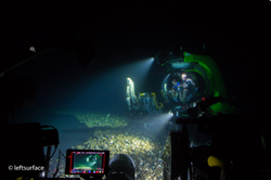 blue planet deep sea watch online